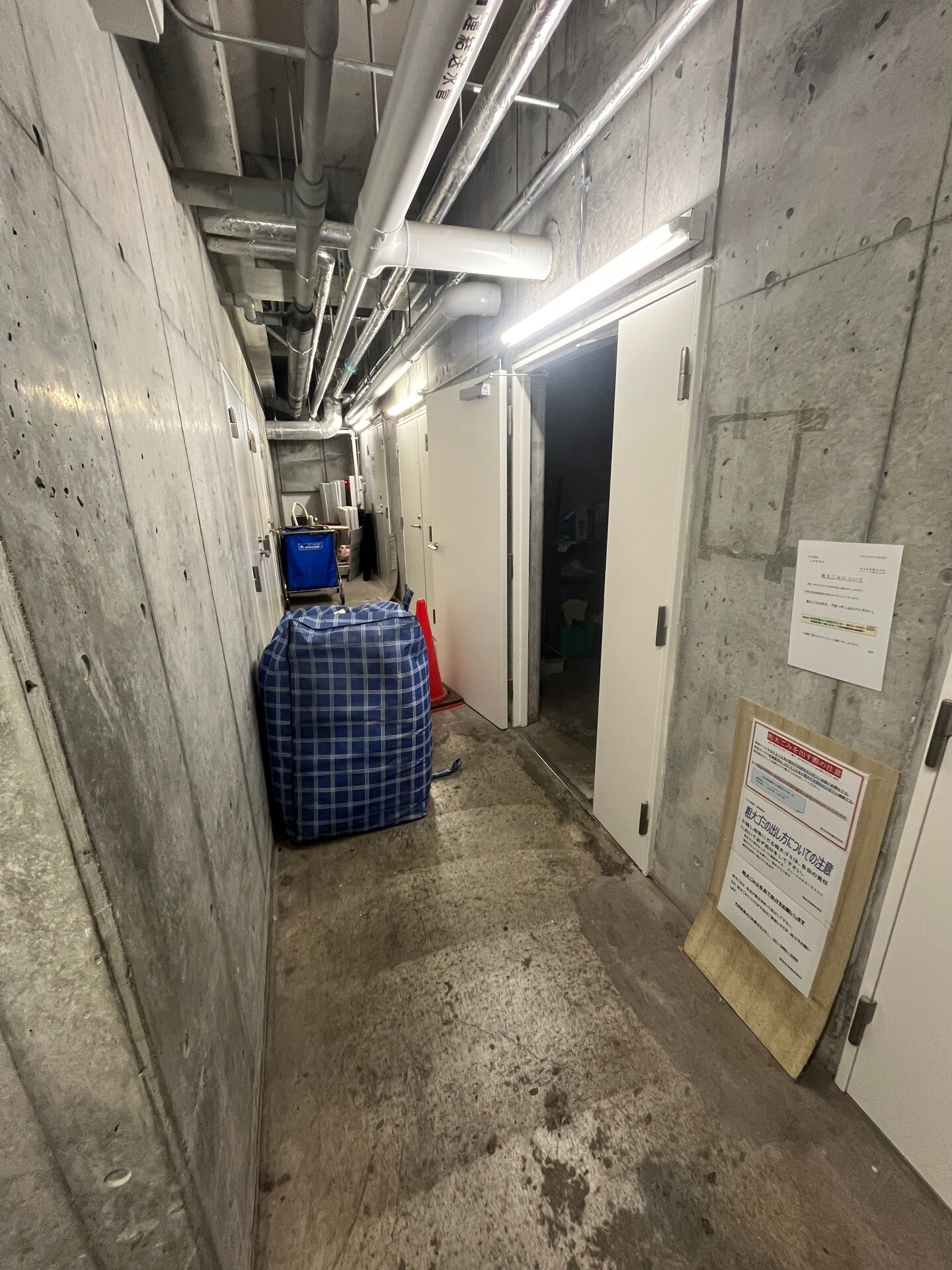 イプセ蒲田の物件内観写真