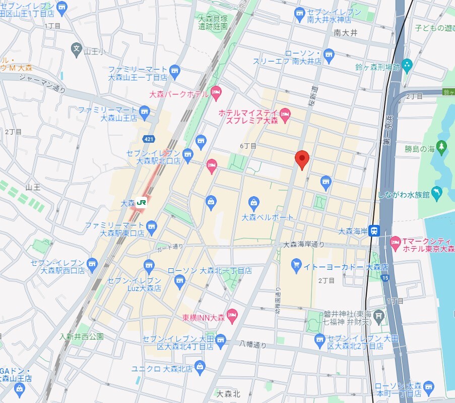 大森海岸レジデンスの物件内観写真