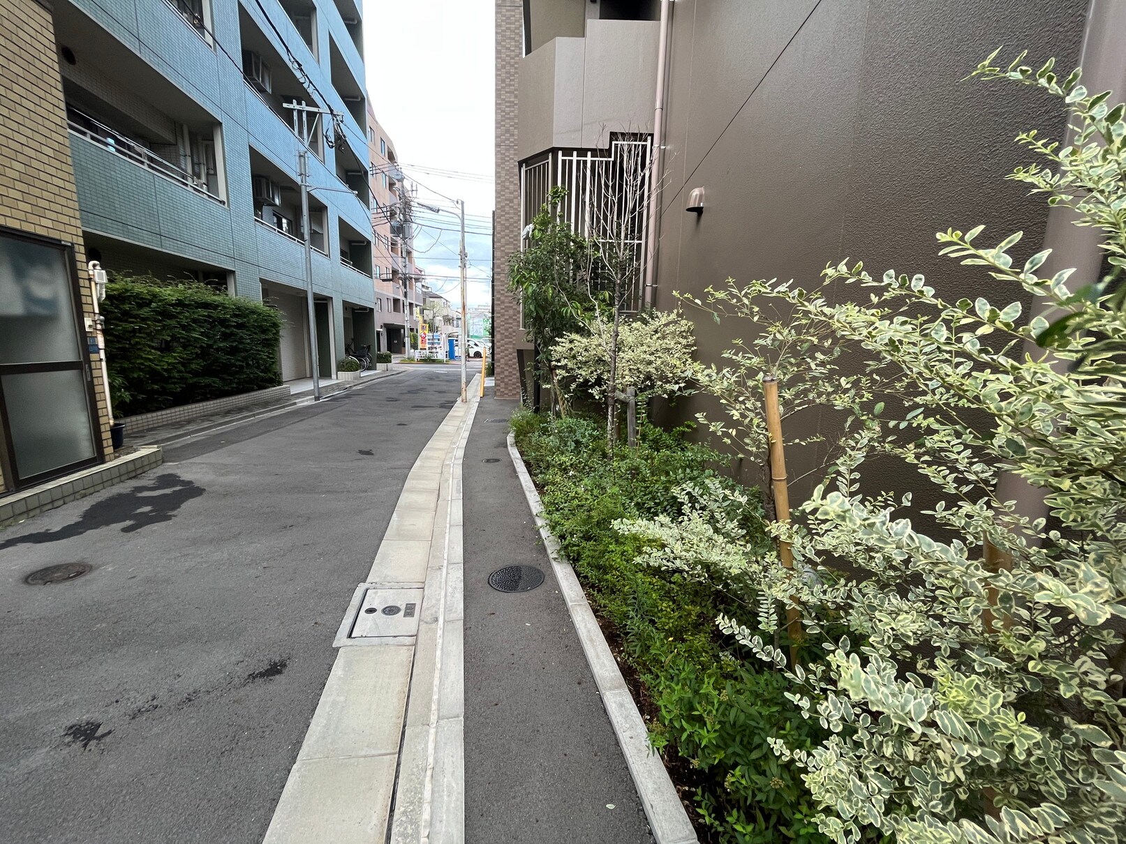 ミリアレジデンス根岸柳通りの物件内観写真