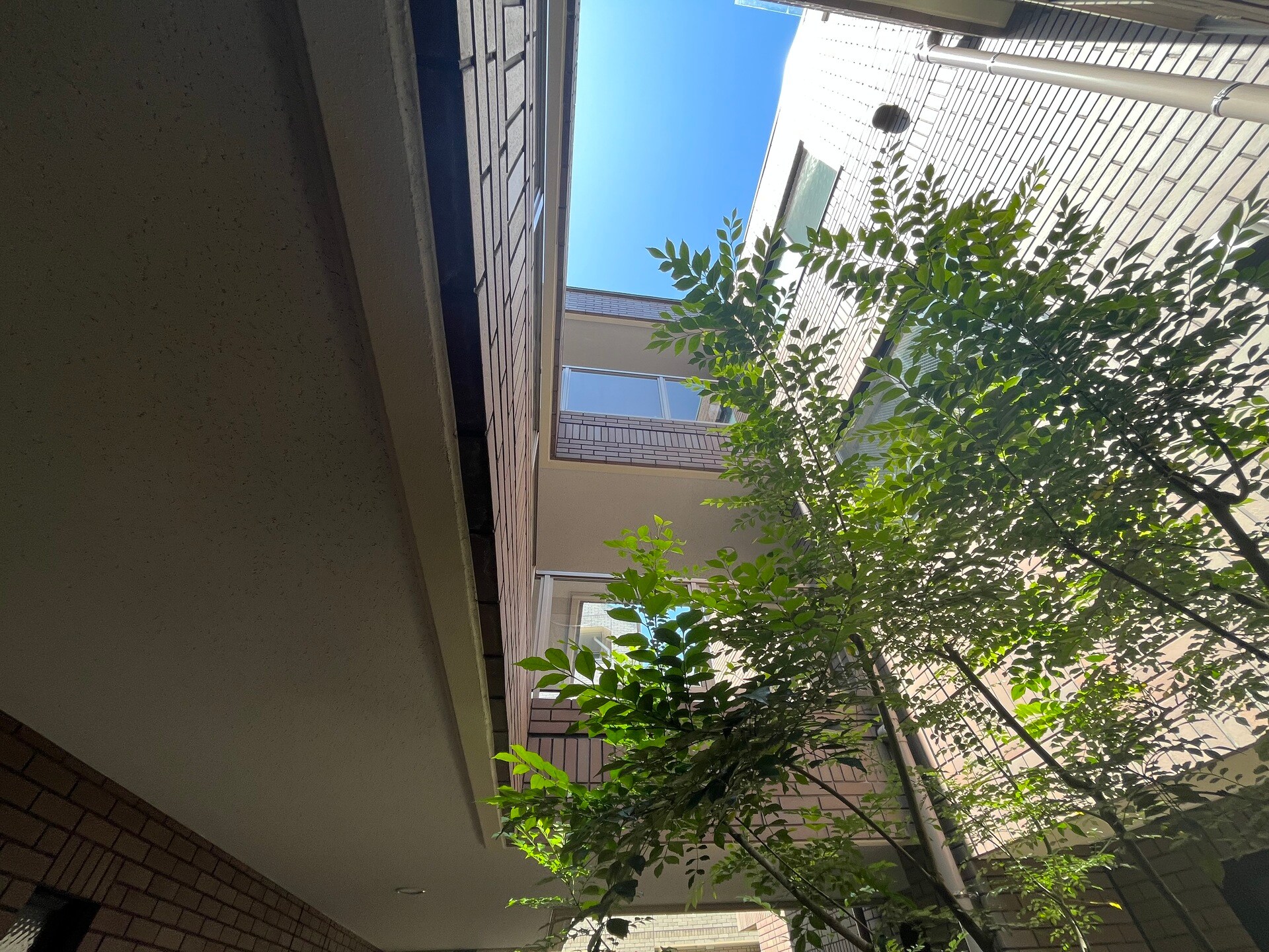 CAVANA神楽坂(旧ラ・モーダ矢来)の物件内観写真