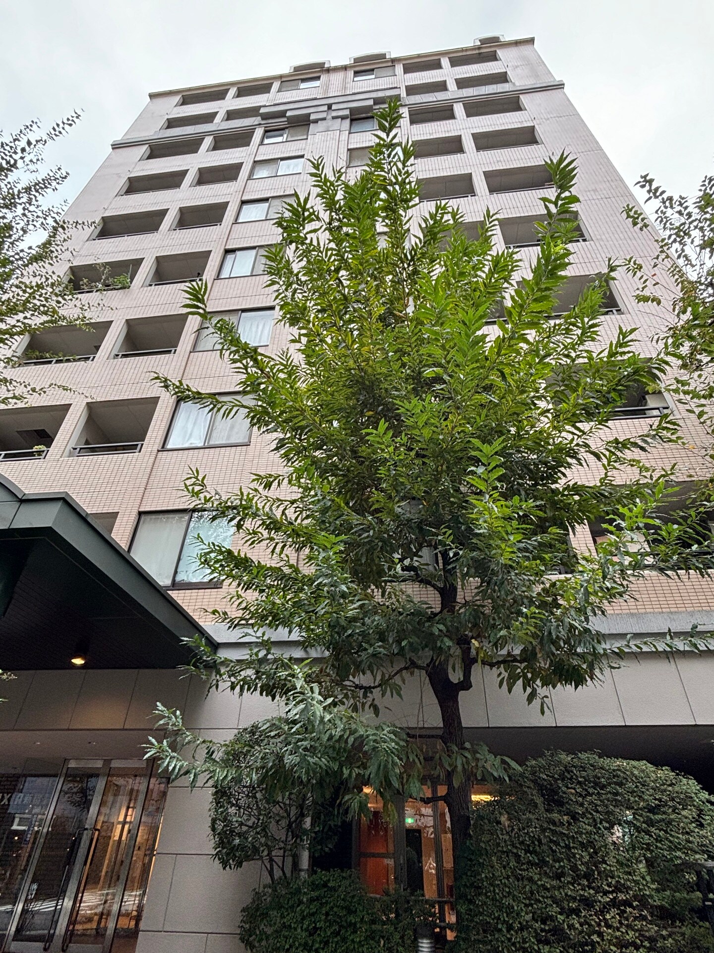 アクシア新宿御苑の物件外観写真