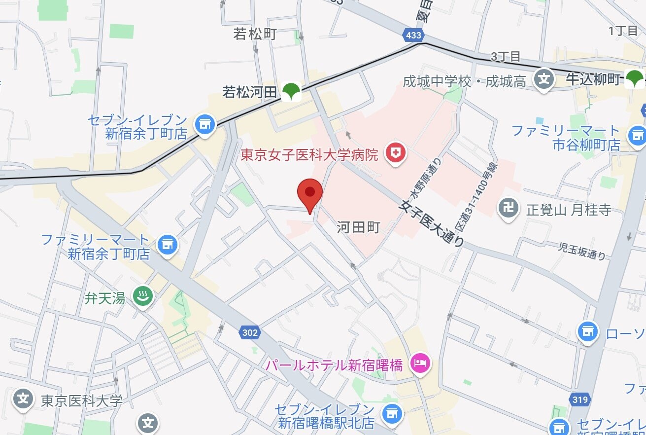 グランパセオ新宿河田町の物件内観写真