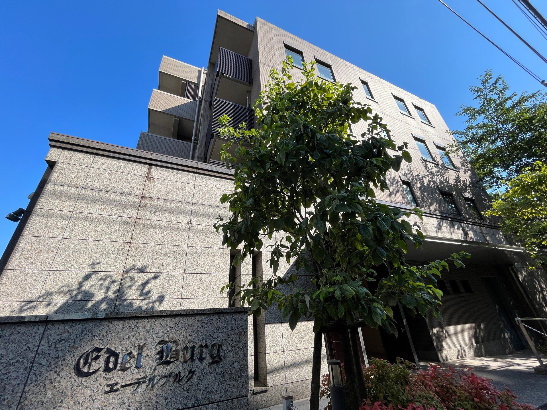 エーデルブルクの物件内観写真