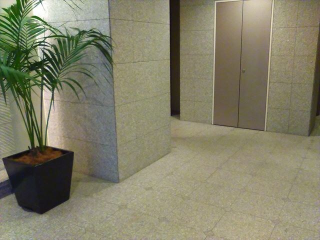 パークハウス平河町の物件内観写真