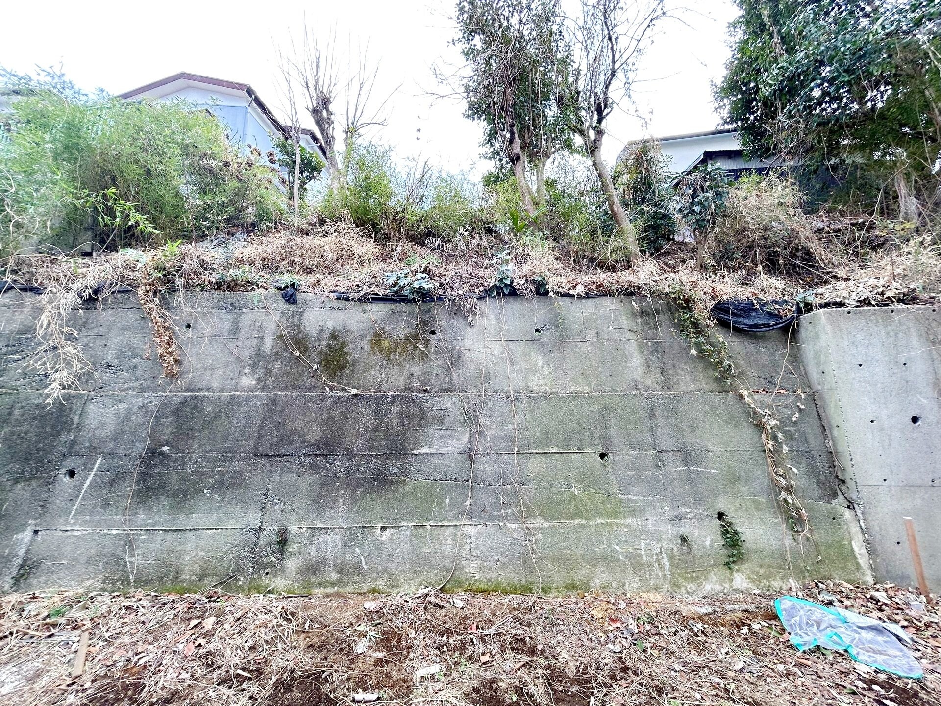 Ambition相武台前の物件内観写真