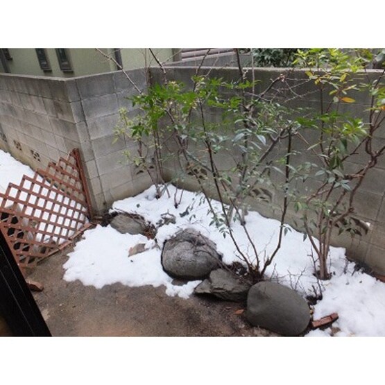 GREEN PARK B棟の物件内観写真