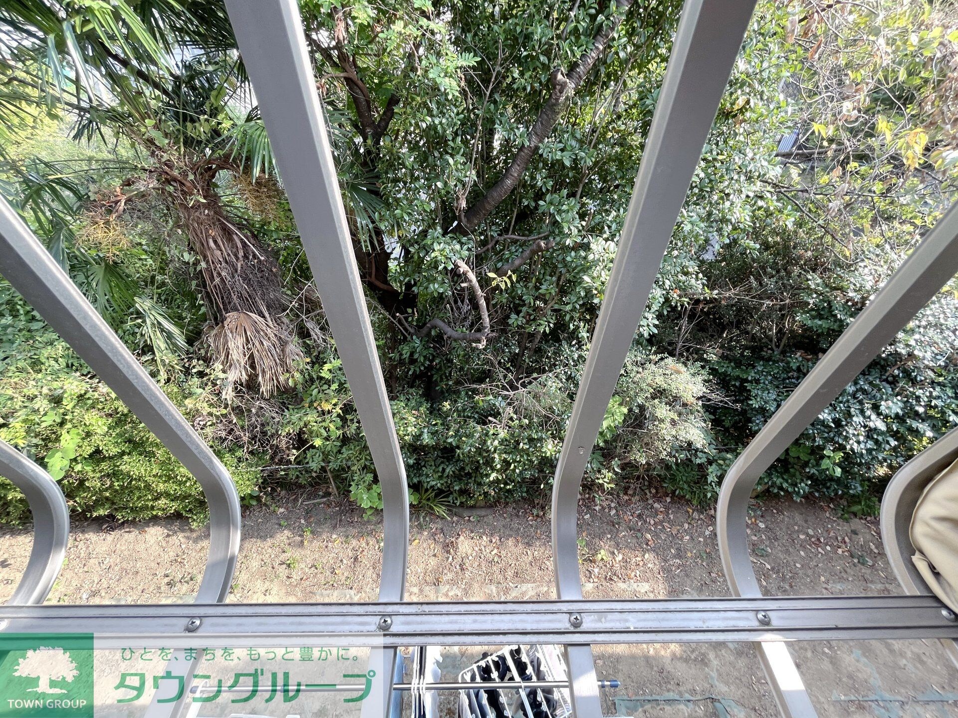 ラカーサフェリーチェの物件内観写真