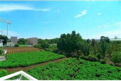 アネックス柏の物件内観写真