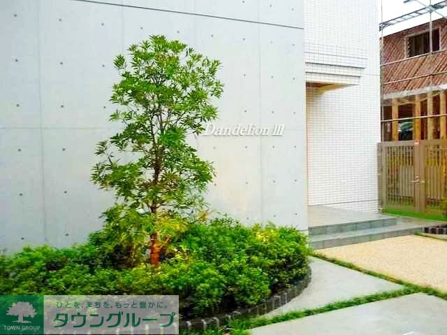 ダンディライオンIIIの物件内観写真