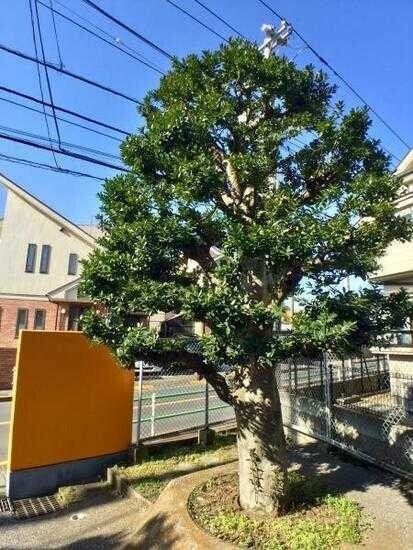 カーサグリーンプラザの物件内観写真