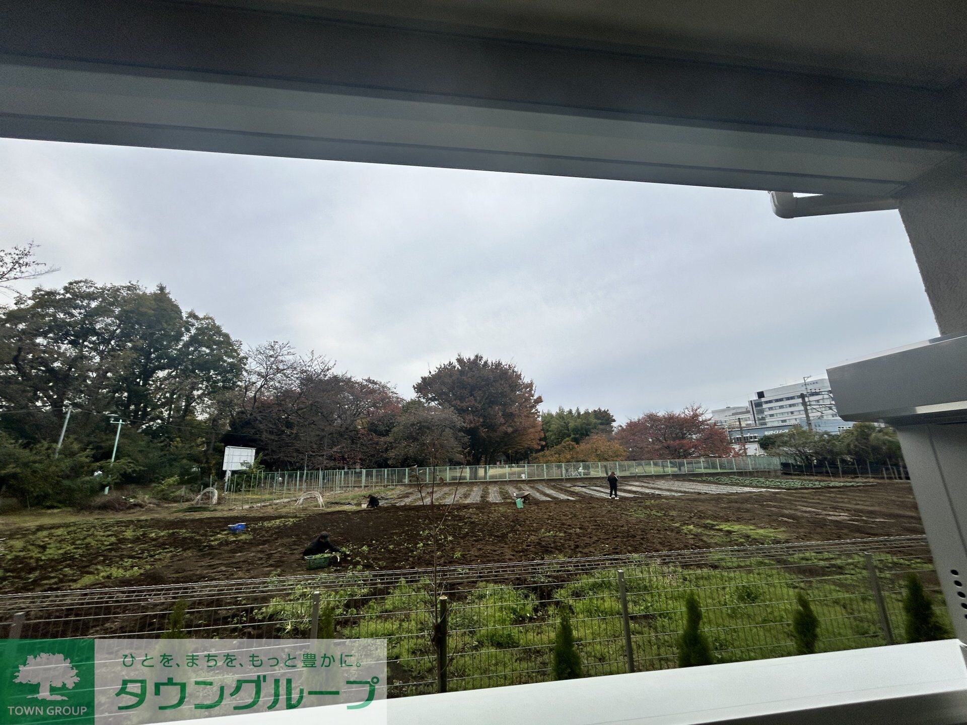 フェリーチェMIYABIの物件内観写真