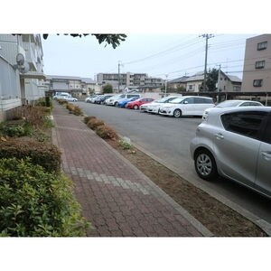 メゾンベルウッドの物件内観写真