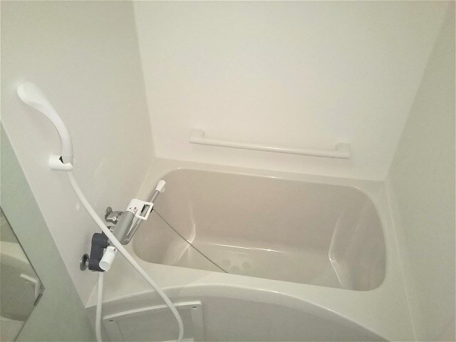 レオネクストネオエスト花園の物件内観写真