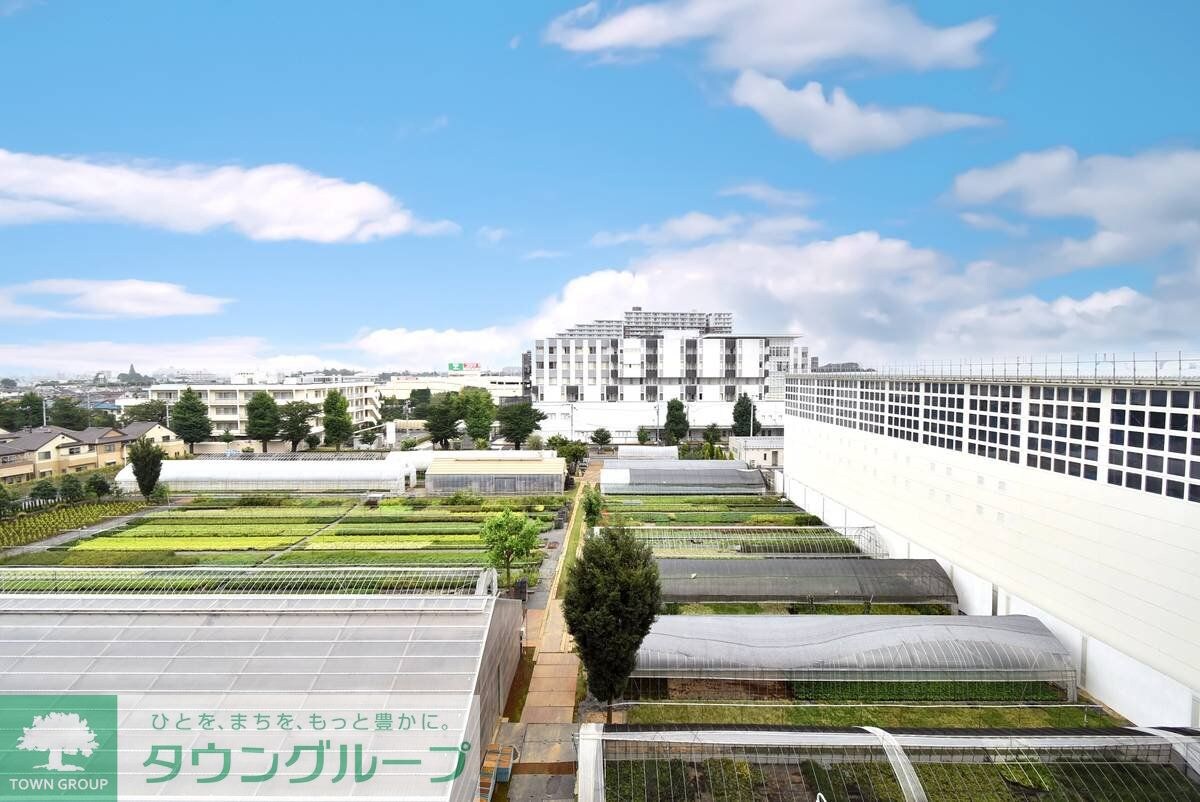 ビレッジハウス向台タワー1号棟 (237号室)の物件内観写真