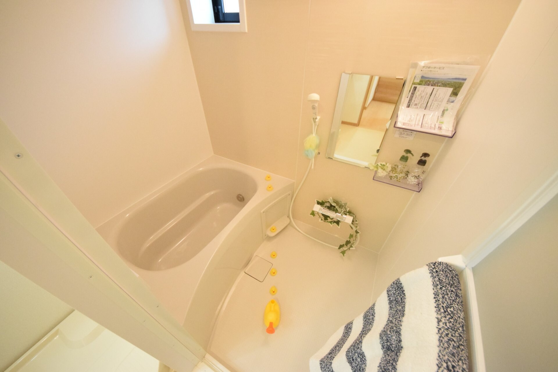 セレーナ富士見台の物件内観写真