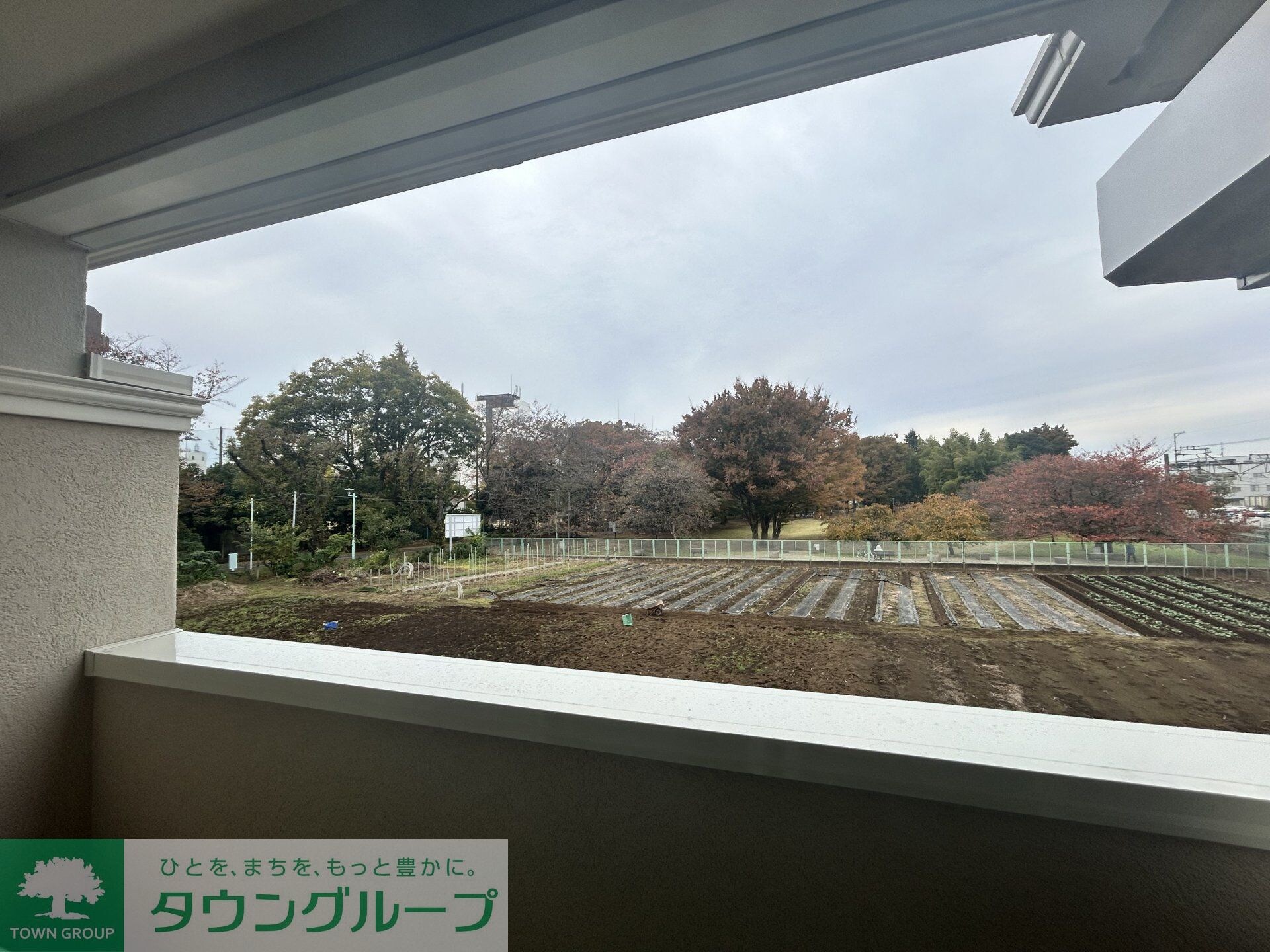 フェリーチェMIYABIの物件内観写真