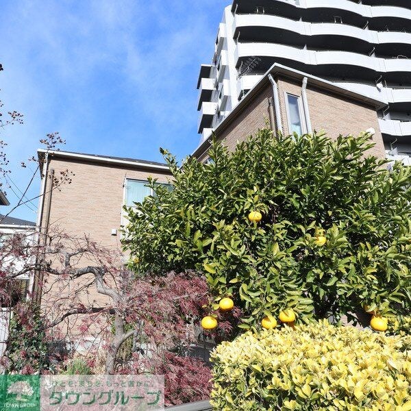 ラフィネ谷塚の物件内観写真