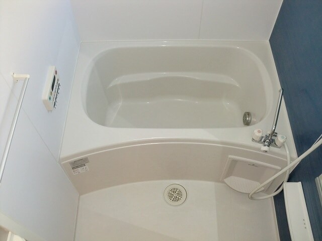 リガーレユーユー 2番館の物件内観写真