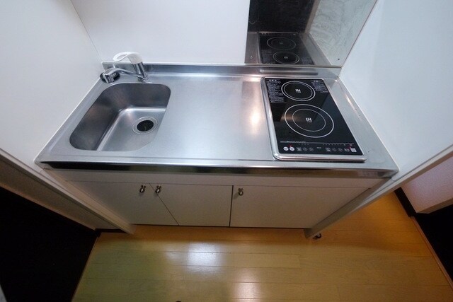 レオネクストヘリオス ハウスの物件内観写真