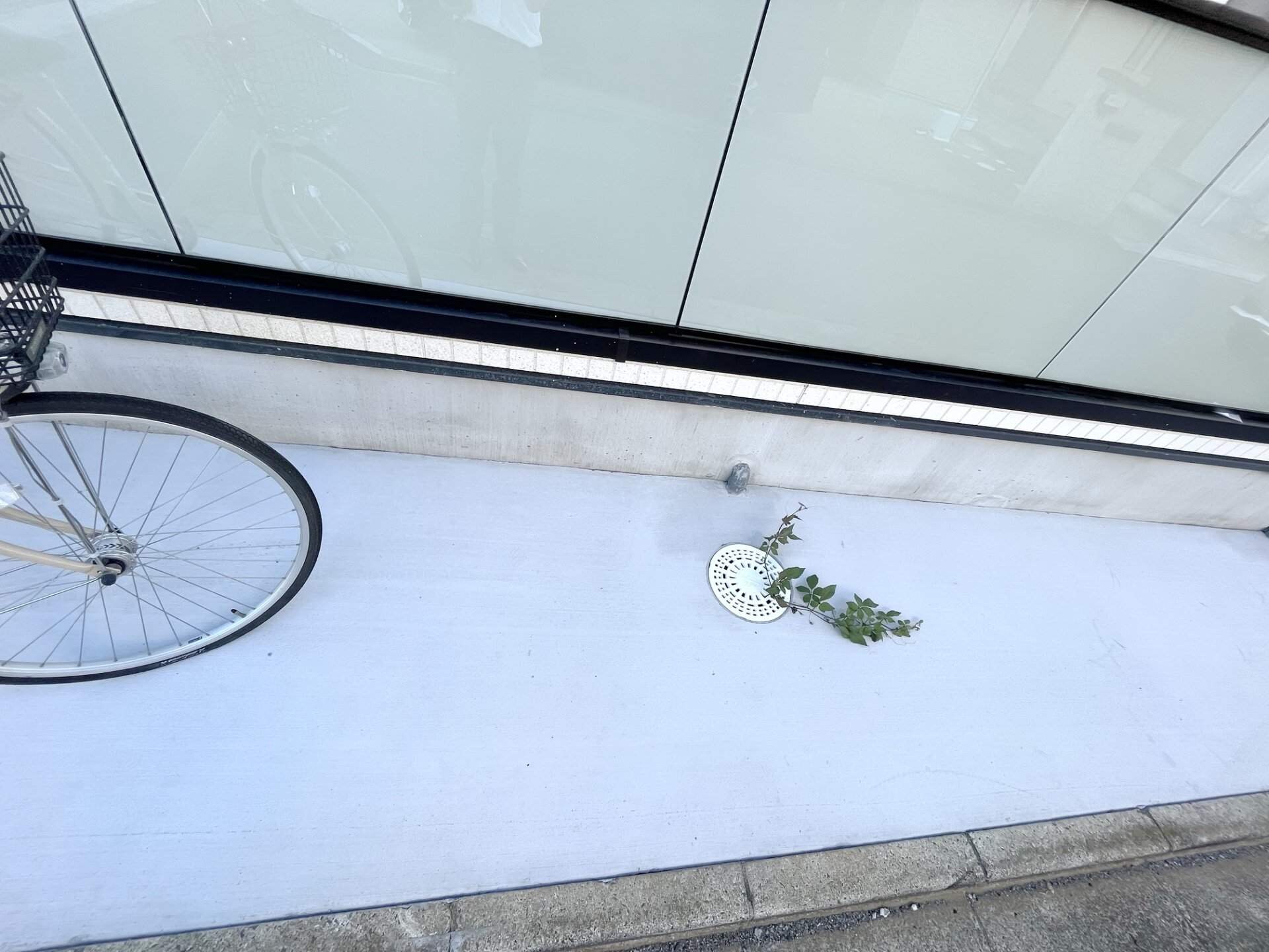 MELDIA新河岸の物件内観写真