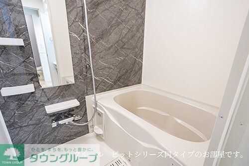 セリーナの物件内観写真