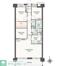 コンフォリア高島平の物件間取画像
