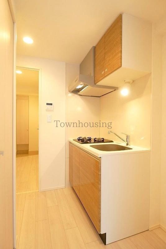 ラフィスタ錦糸町IIの物件内観写真