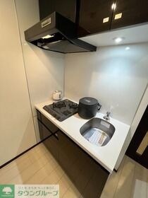 GENOVIA両国VI green veilの物件内観写真