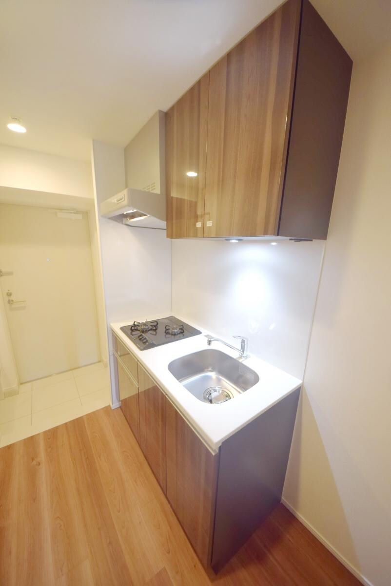 ステージグランデ錦糸町IIの物件内観写真