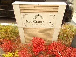 ネオグランツIIAの物件内観写真