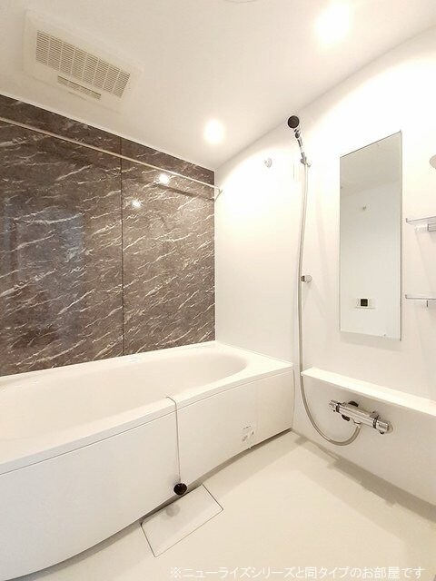 テラス ライズ ベリーの物件内観写真