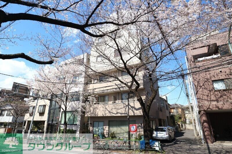 シャトー白馬の物件外観写真