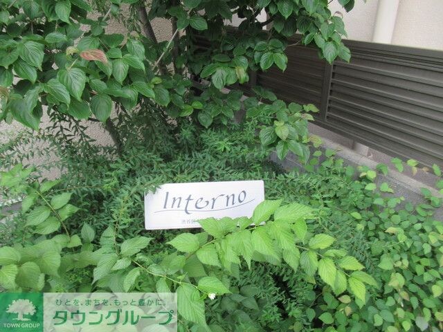 インテルノの物件内観写真