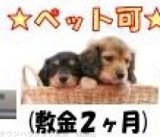 AZEST亀有SouthTowerの物件内観写真