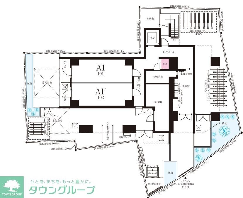 DIPS亀有駅前の物件内観写真