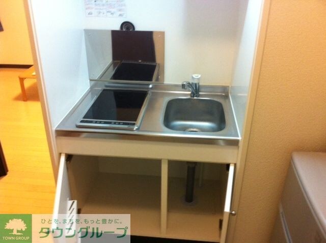 レオネクストパラシオン丸山の物件内観写真