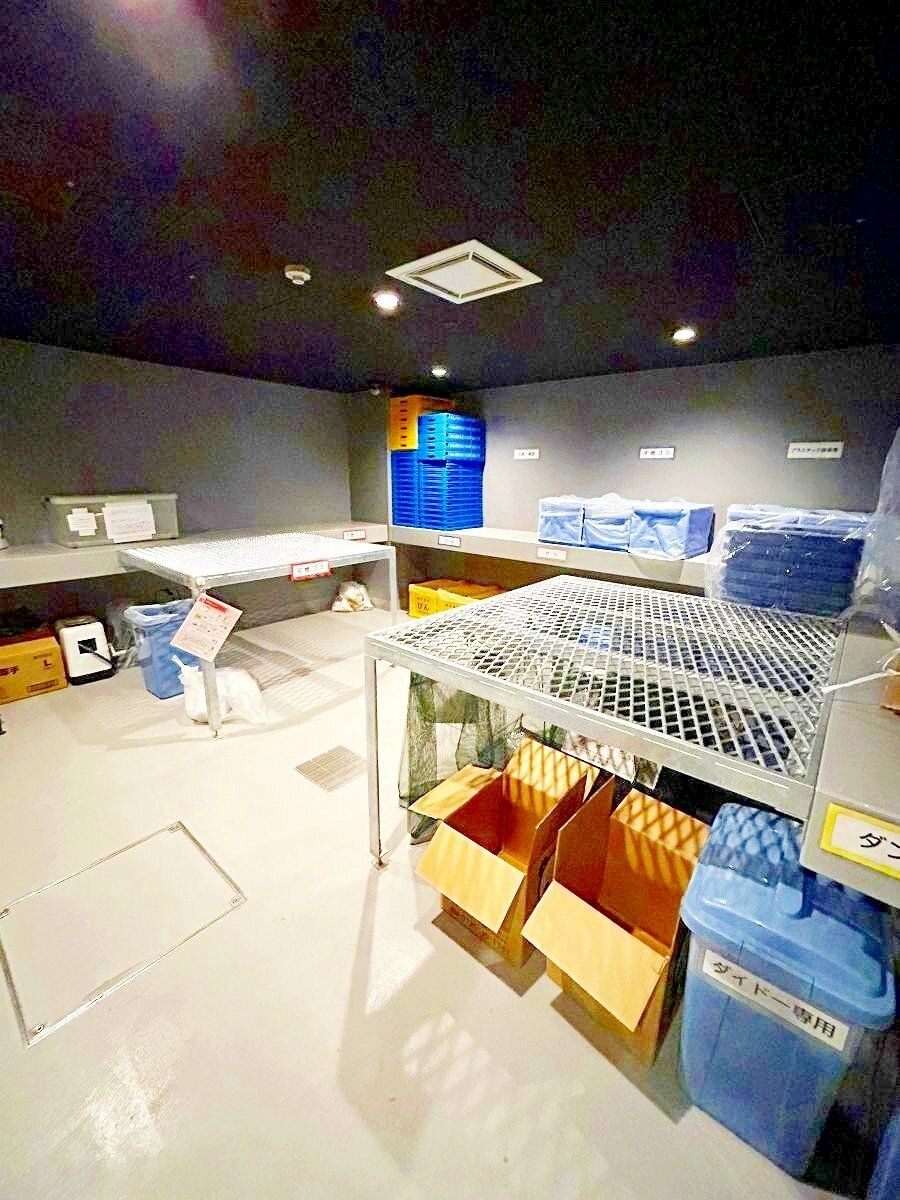 RESIDENCE KOENJIの物件内観写真