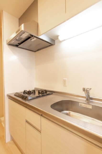 ルミレイス豊洲の物件内観写真