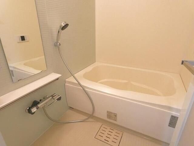 ジェノヴィア両国IVスカイガーデンの物件内観写真