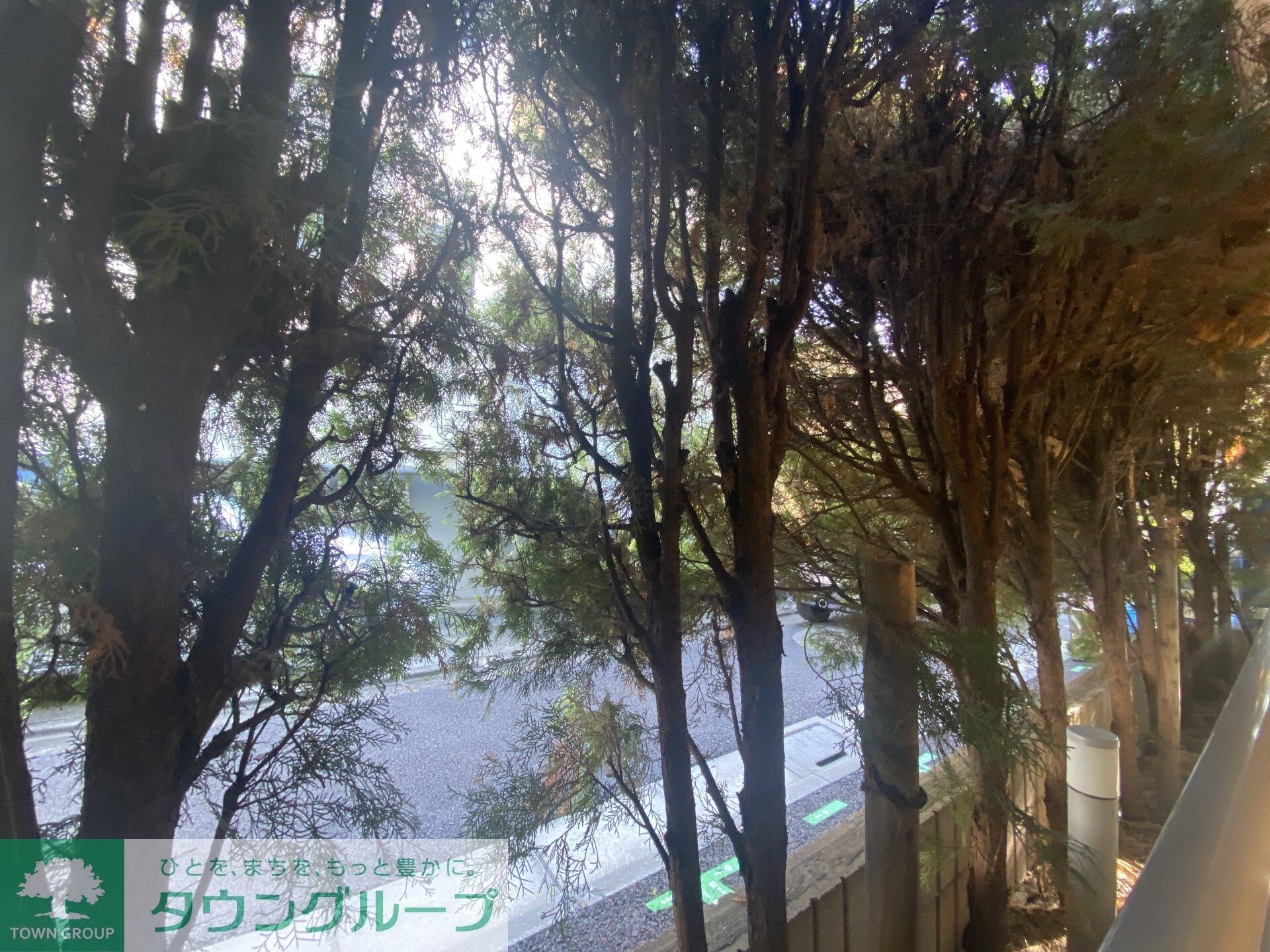 マリオン駒場の物件内観写真