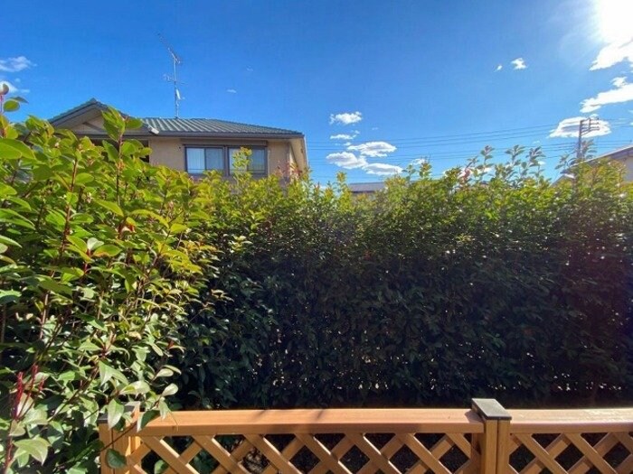 スクエアガーデン Bの物件内観写真