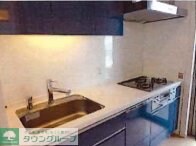 アウルタワー 4411号室の物件内観写真