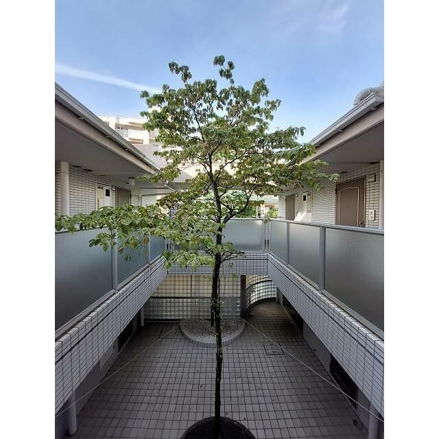 セルベコート野方の物件内観写真