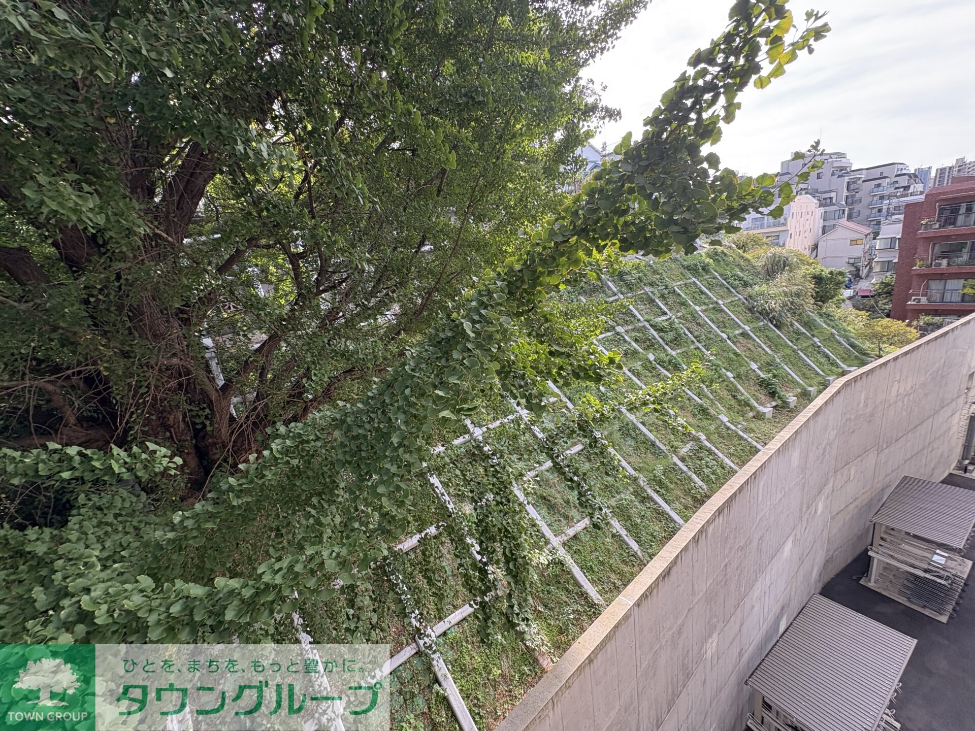 ザ・レジデンス神楽坂IIの物件内観写真