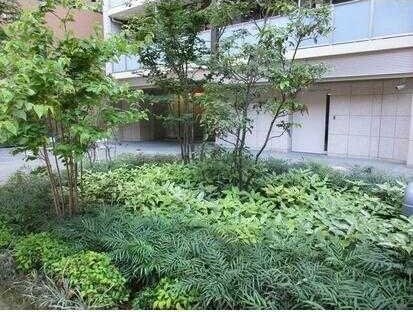 JPnoie下高井戸の物件内観写真