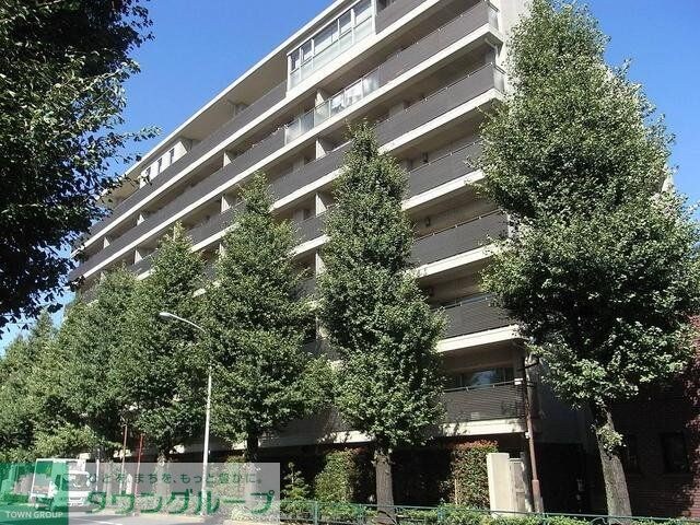 ヒルズ目白台(ヒルズメジロダイ)の物件内観写真