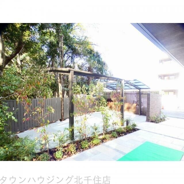 フォレスト ベベの物件内観写真