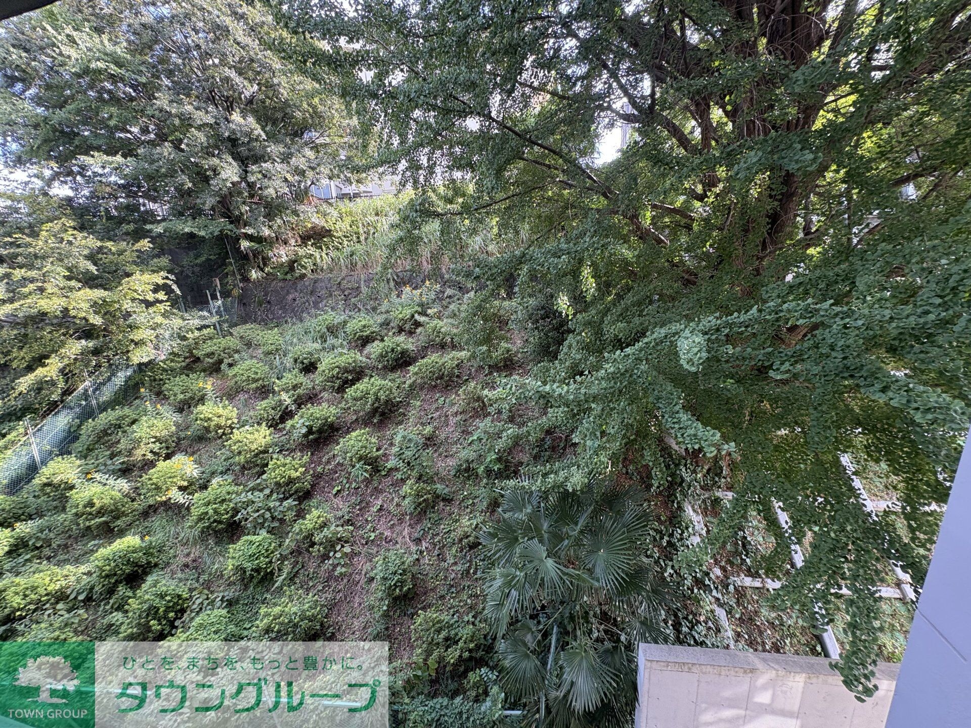 ザ・レジデンス神楽坂IIの物件内観写真