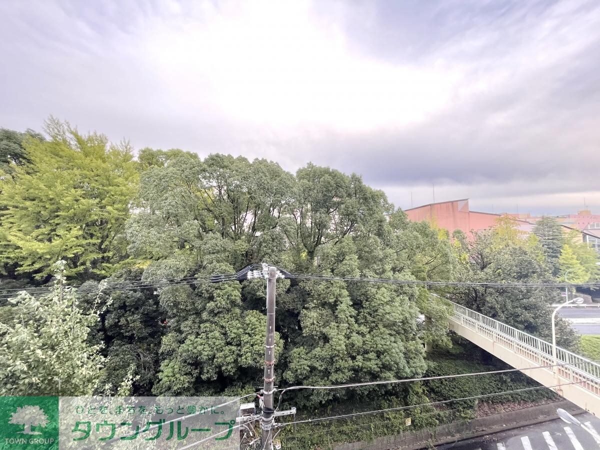 ザ・パークハビオSOHO南青山の物件内観写真