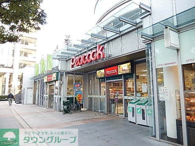 ガラ・グランディ日本橋の物件内観写真